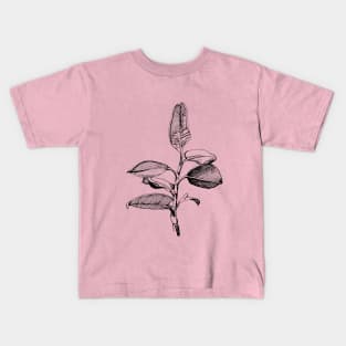 Ficus. Author's drawing. Modern Art. Kids T-Shirt